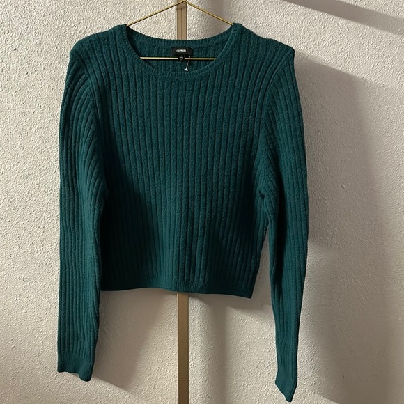 Express Sweaters - Express Ribbed Knit Sweater Green Size L